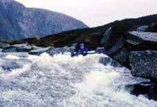 Don't forget to duck/wear elbow pads/stay in bed (delete as appropriate)